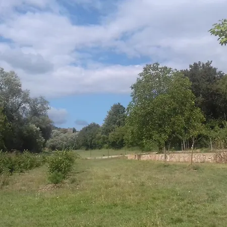 Aux Vignes-3