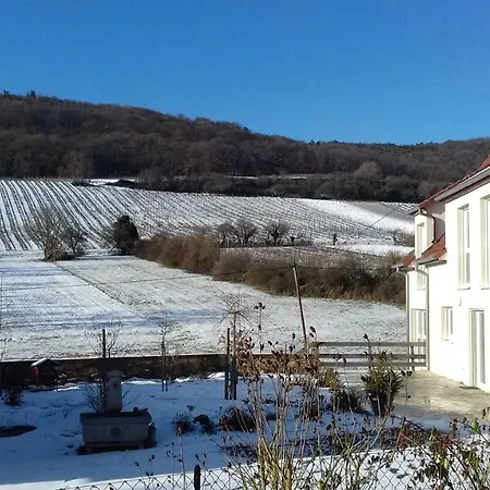 Aux Vignes-2